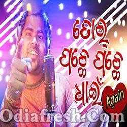 Tor Pachhe Pachhe Dhain Again - Latest new Sambalpuri Romantic Song (Harendra Jagat)